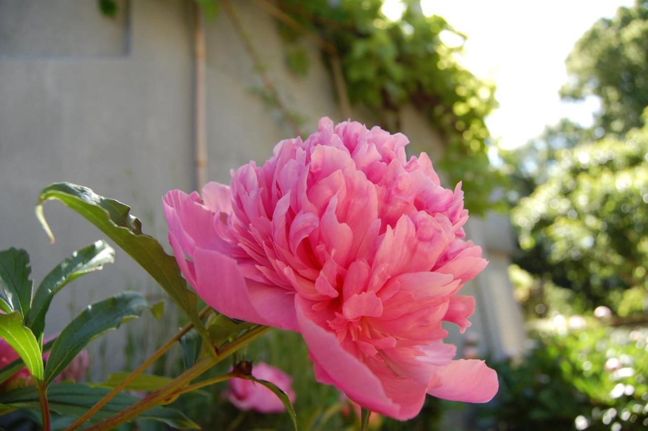 A L'Oree Du Parc Bed & Breakfast เบอซองซง ภายนอก รูปภาพ